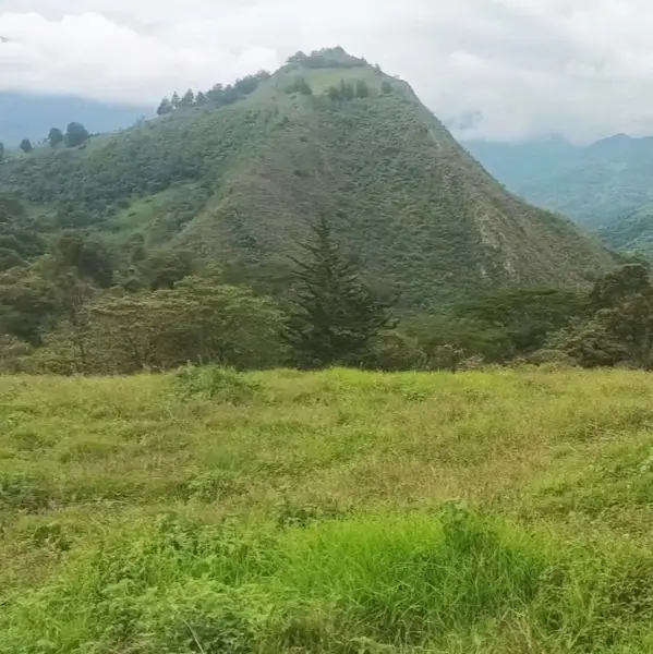 WhatsApp Image 2025-07-25 at 6.36.17 PM-1 Finca en venta en Zetaquira, Boyaca Codigo: 1120