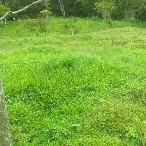 WhatsApp Image 2025-07-25 at 6.36.17 PM (3) Finca en venta en Zetaquira, Boyaca Codigo: 1120