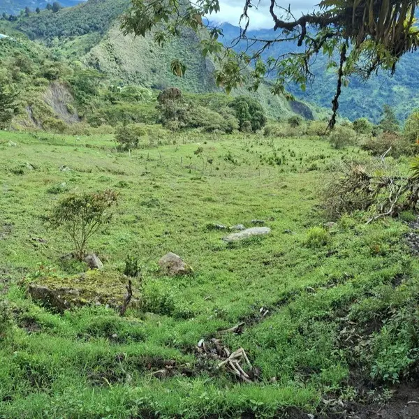 WhatsApp Image 2025-07-27 at 10.05.55 AM Finca en venta en Zetaquira, Boyaca Codigo: 1120